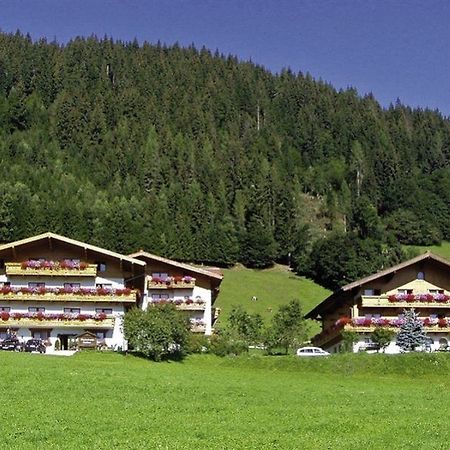 Ferienhaus And Reiterhof Poettler Flachau Luaran gambar