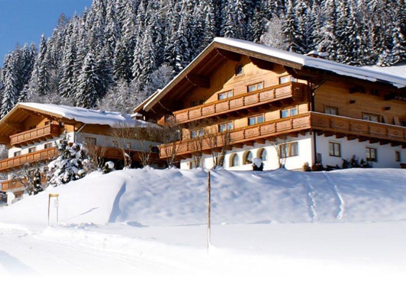 Ferienhaus And Reiterhof Poettler Flachau Luaran gambar