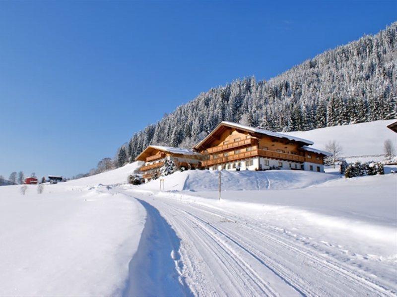 Ferienhaus And Reiterhof Poettler Flachau Luaran gambar