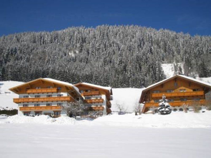 Ferienhaus And Reiterhof Poettler Flachau Luaran gambar