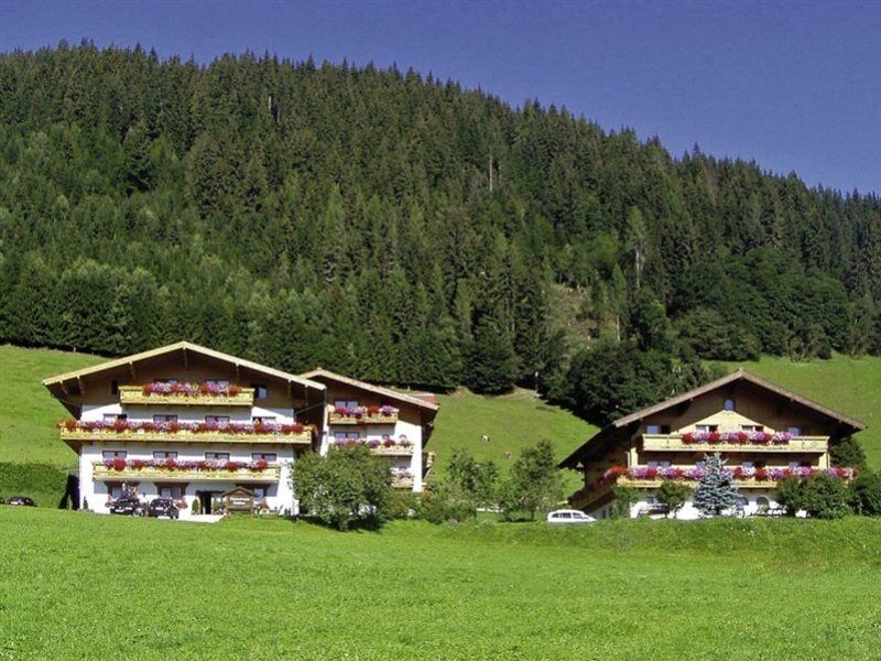 Ferienhaus And Reiterhof Poettler Flachau Luaran gambar